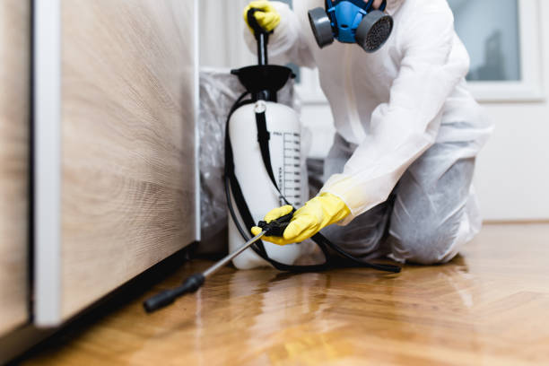 Flea Control Services in Gettysburg, SD