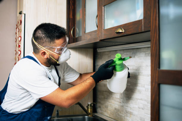 Best Commercial Pest Control Services  in Gettysburg, SD