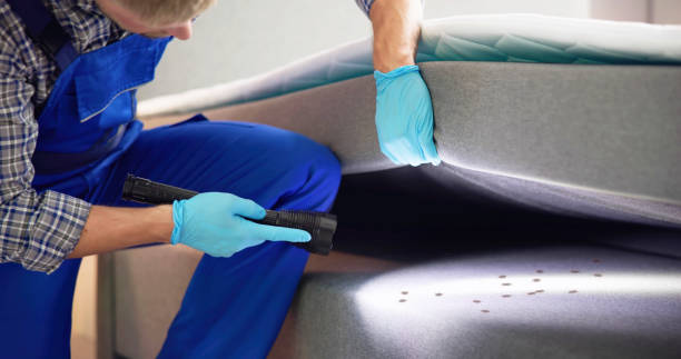 Pest Control for Restaurants in Gettysburg, SD