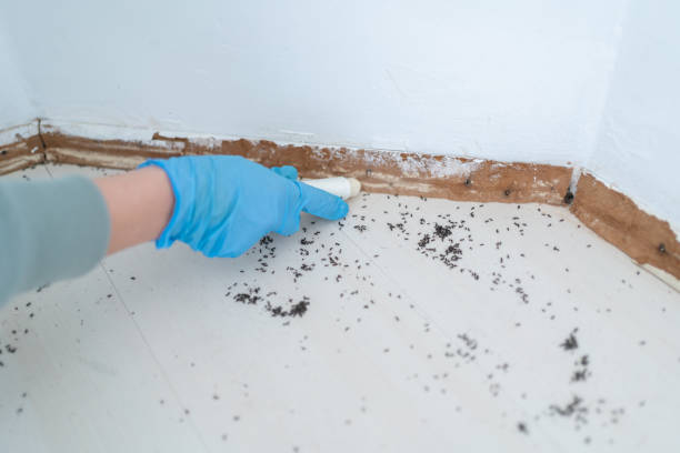 Best Exterminator Services  in Gettysburg, SD