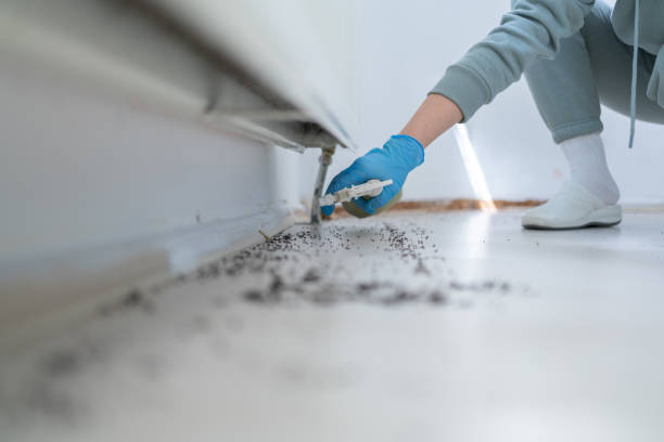 Best Pest Prevention Services  in Gettysburg, SD